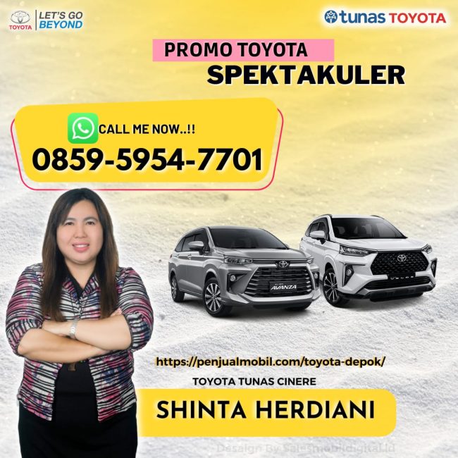 Sales Mobil Toyota Shinta